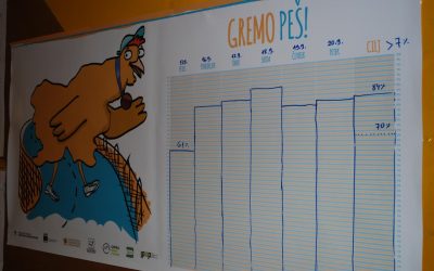 Gremo peš s kokoško Rozi