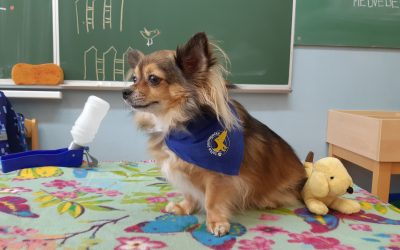 Tačke pomagačke in ustvarjanje